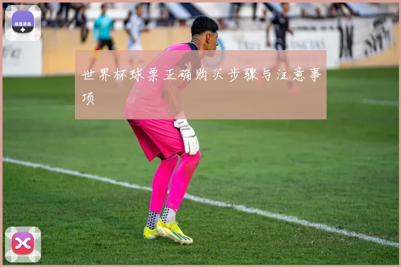 世界杯球票正确购买步骤与注意事项