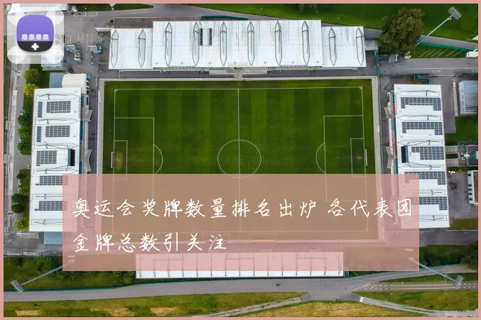 奥运会奖牌数量排名出炉 各代表团金牌总数引关注