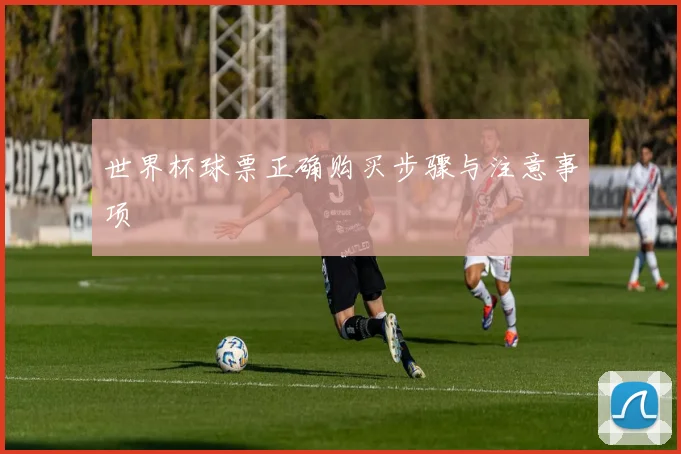 世界杯球票正确购买步骤与注意事项